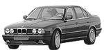 BMW E34 P0484 Fault Code